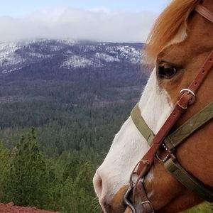 Meet your Posher, Sally